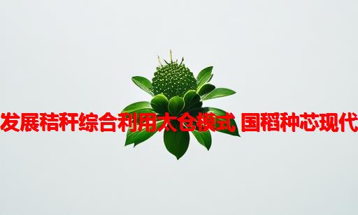 践行绿色发展秸秆综合利用太仓模式 国稻种芯现代饲料规划